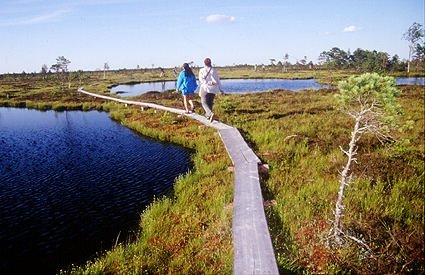 Soomaa National Park
